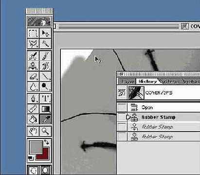 Photoshop  Illustrator    