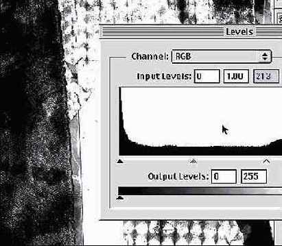 Photoshop  Illustrator    